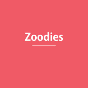 Zoodies